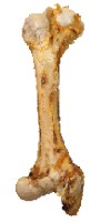 Hond Snacks Pro Jumbo Bot 1 Stuk Anifit
